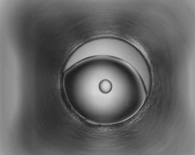 X0000115430105200911121111