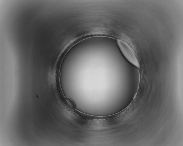 X0000115430108200911121111