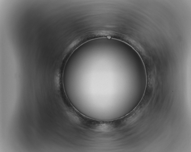 X0000115430111200911121111