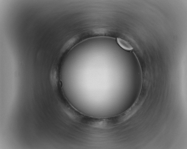 X0000115430116200911121111