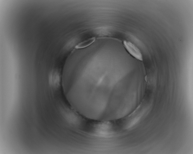 X0000115430124200911121111