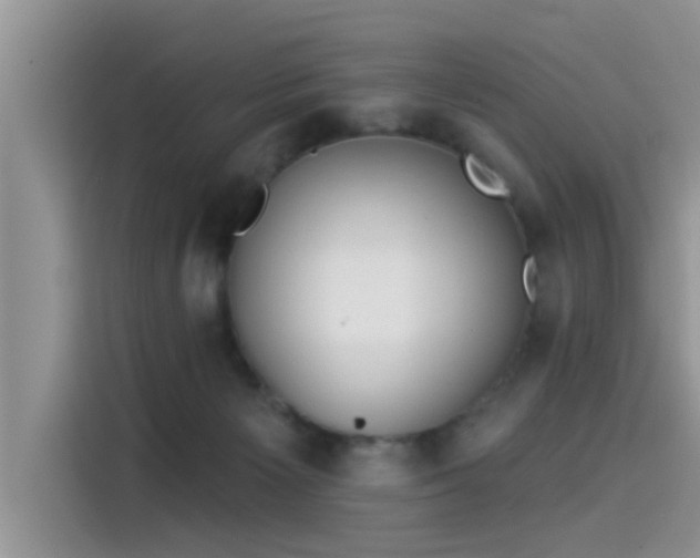 X0000115430125200911121111