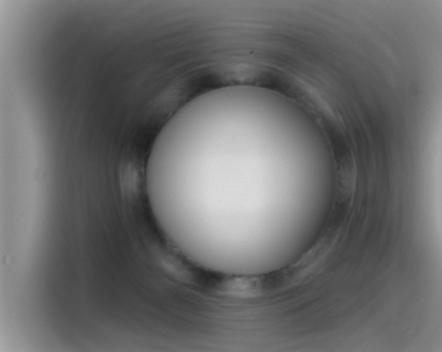 X0000115430126200911121111