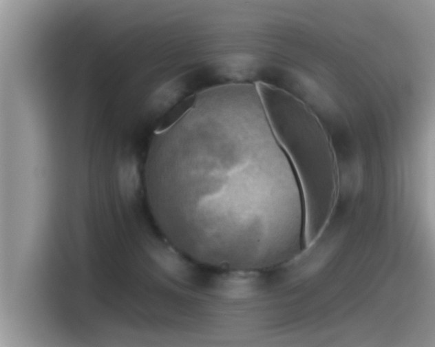 X0000115430128200911121111