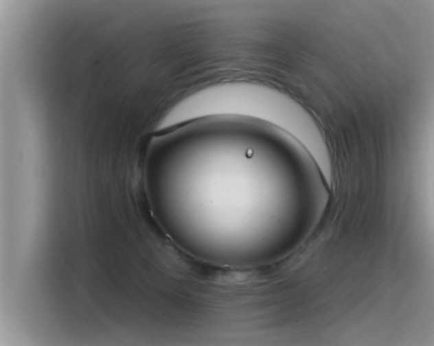 X0000115430129200911121111