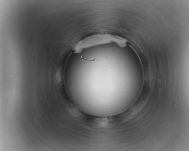 X0000115430131200911121111