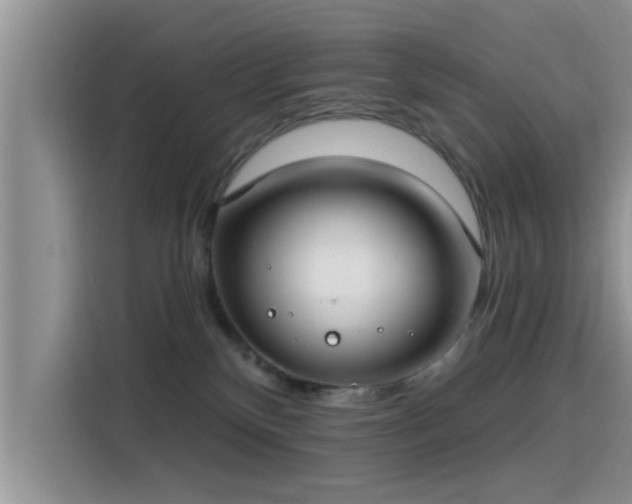 X0000115430136200911121111