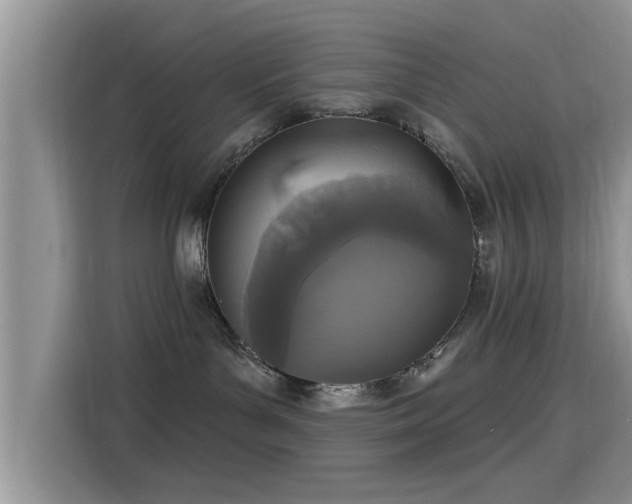 X0000115430143200911121111