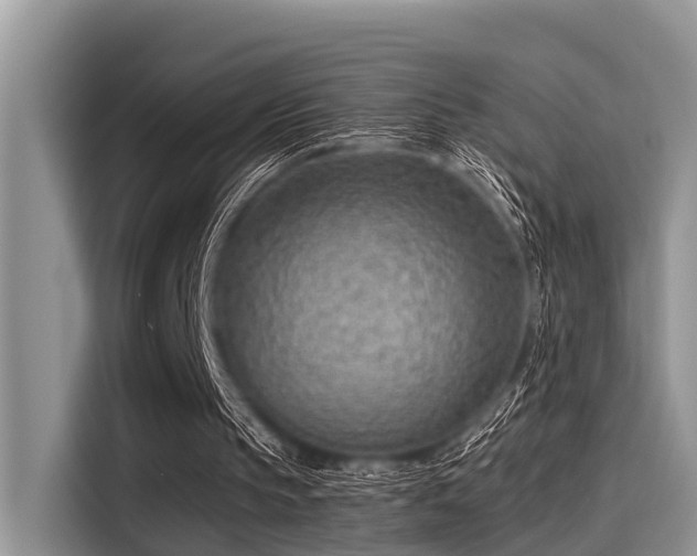 X0000115430145200911121110