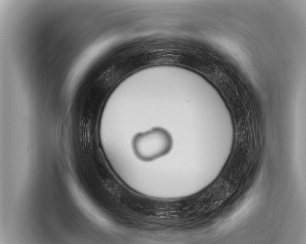 X0000115430146200911121110