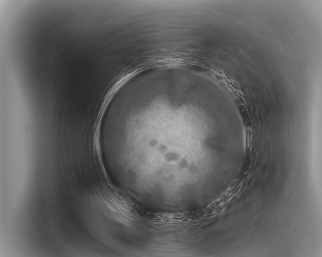 X0000115430147200911121110