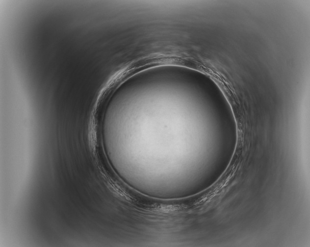 X0000115430149200911121110