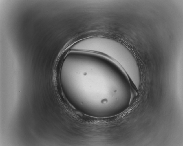 X0000115430150200911121110