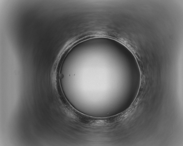 X0000115430151200911121110