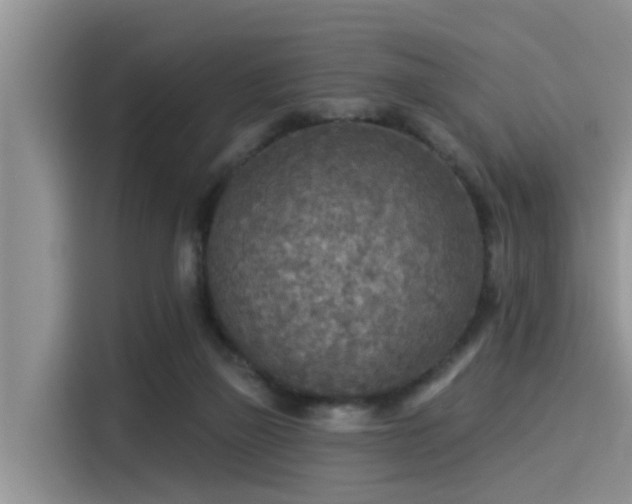 X0000115430165200911121110