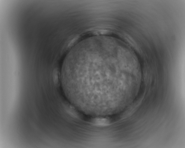 X0000115430169200911121110