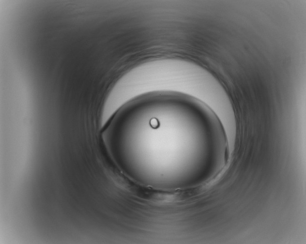 X0000115430170200911121110