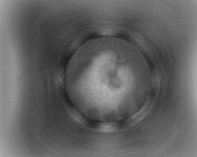 X0000115430175200911121110