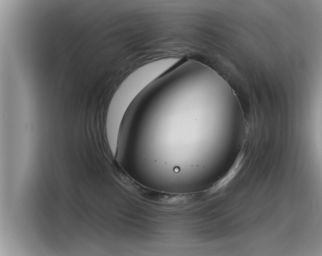 X0000115430186200911121110