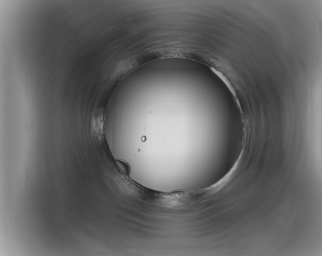 X0000115430190200911121110