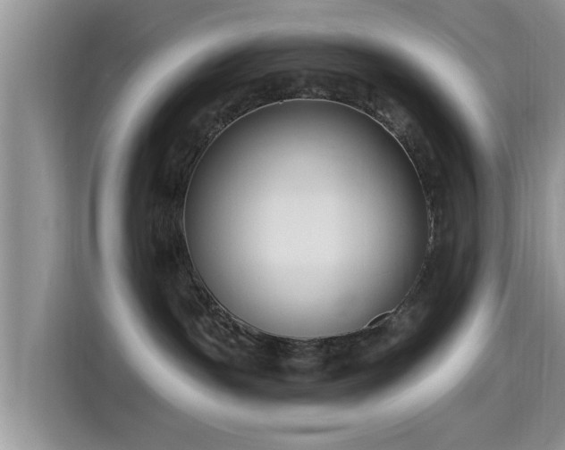 X0000115430191200911121110