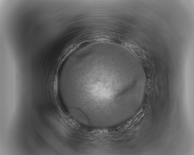 X0000115430194200911121110