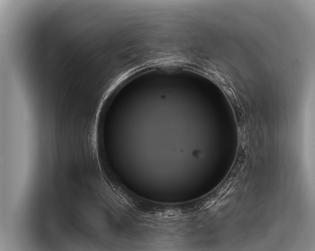 X0000115430196200911121110