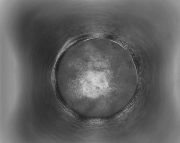 X0000115430198200911121110