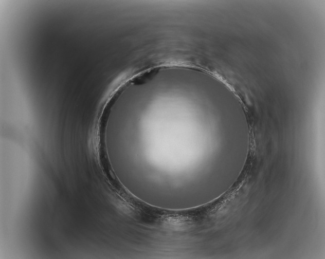 X0000115430199200911121110