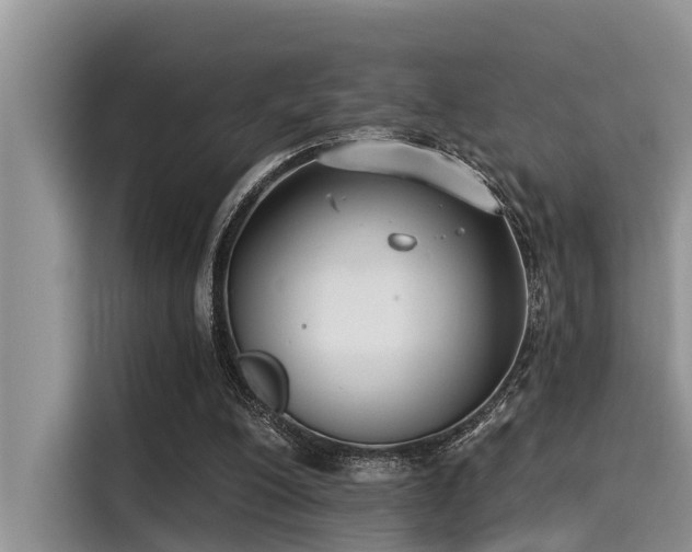 X0000115430200200911121110