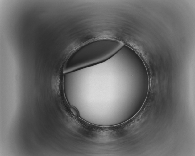 X0000115430201200911121110