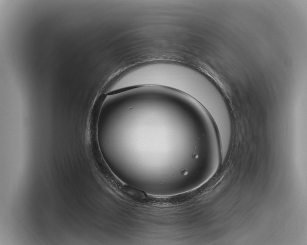 X0000115430203200911121110