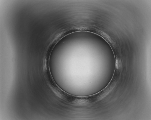 X0000115430205200911121110