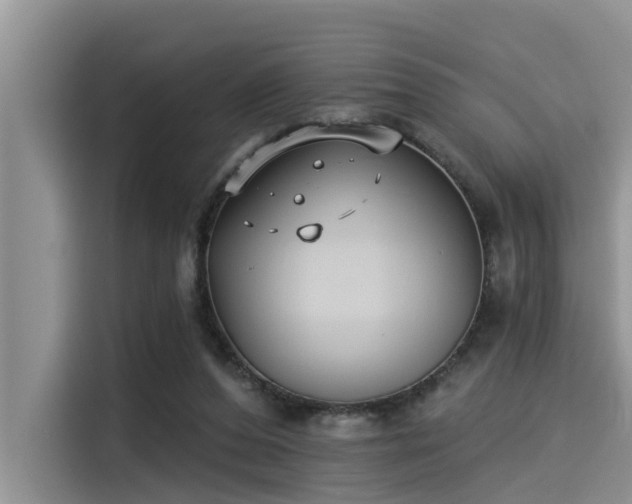 X0000115430208200911121110