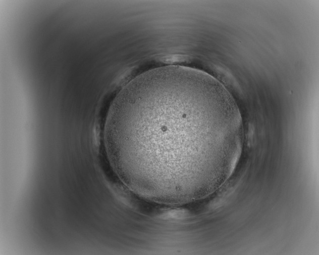 X0000115430210200911121110