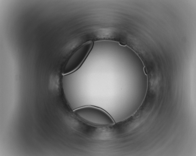 X0000115430211200911121110