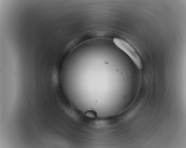 X0000115430216200911121110