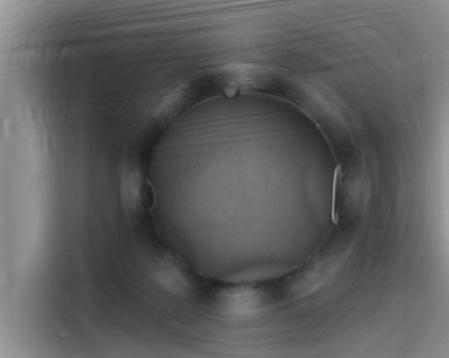 X0000115430219200911121110