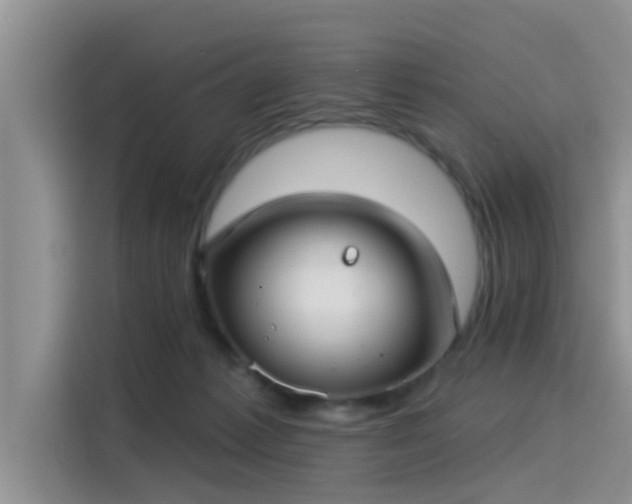 X0000115430221200911121110