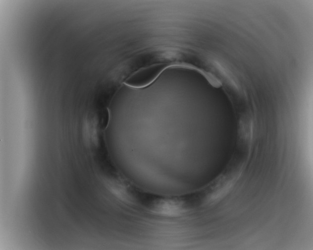 X0000115430223200911121109