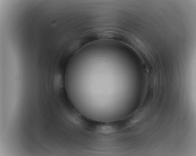 X0000115430224200911121109