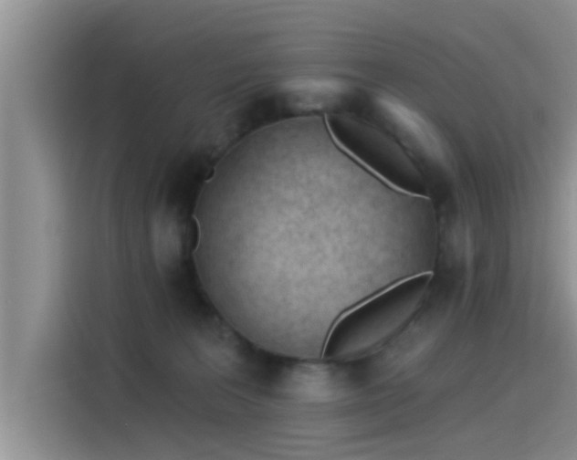 X0000115430227200911121109