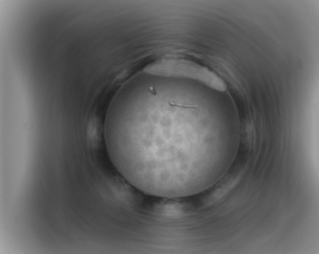 X0000115430228200911121109