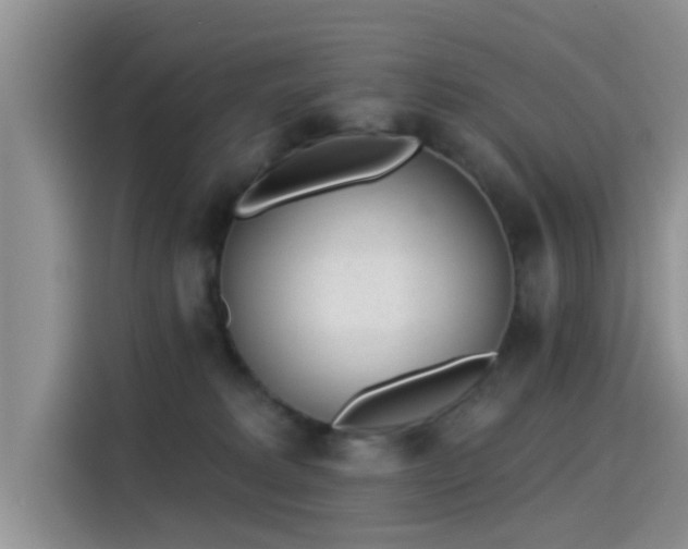 X0000115430229200911121109