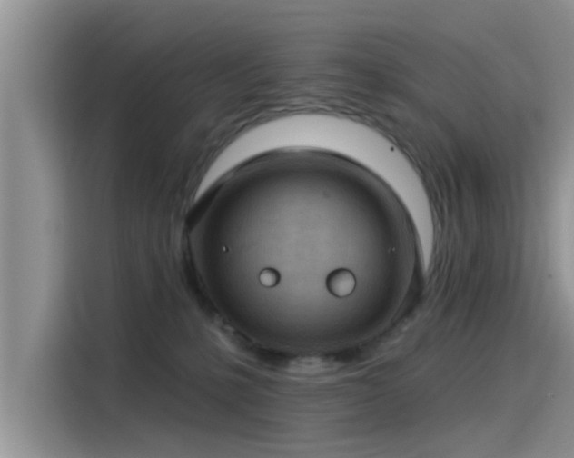 X0000115430231200911121109