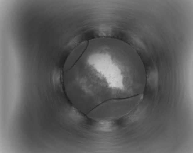 X0000115430233200911121109