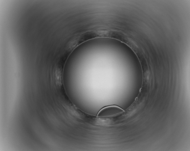 X0000115430234200911121109