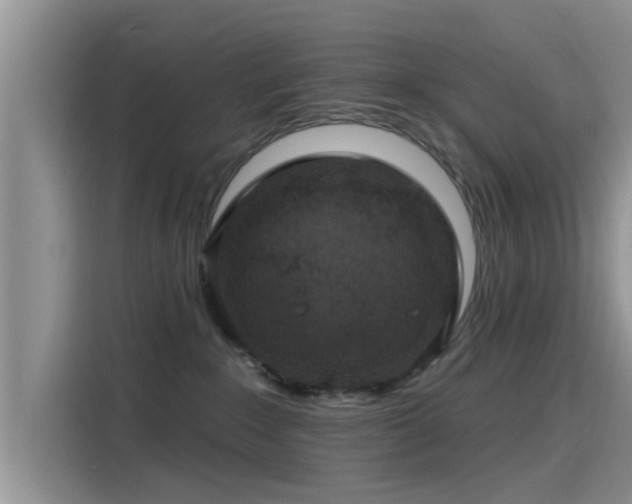 X0000115430235200911121109