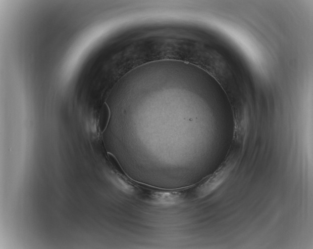 X0000115430239200911121109