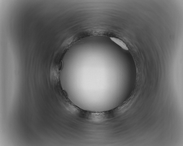 X0000115430240200911121109